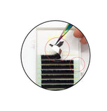 Lashed_up_lash_supplies